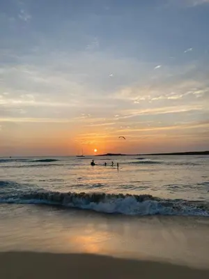 a group of people in the ocean at sunset at Zodiaco Apartments in Sal Rei