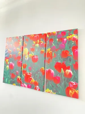 three paintings of flowers on a wall at Best Rooms - Quarto 3 Plateau in Praia