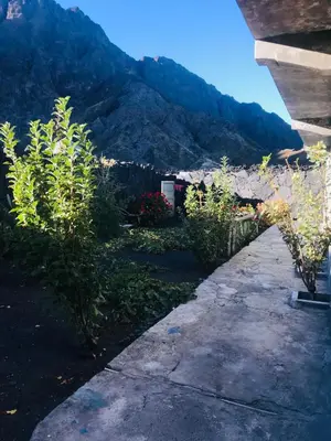 a view of a garden with mountains in the background at Pensão Repouso Alegre Turismo e Aventura in Portela