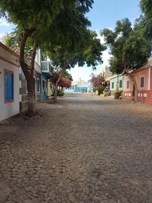 a street in a town with a tree and buildings at Boavista Beach Apartment in Sal Rei