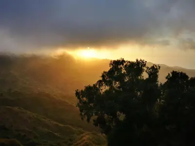 a misty sunrise over a mountain with a tree at Strela Mountain Lodge in Tarrafal