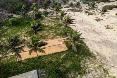 an aerial view of a beach with palm trees at VOI Praia de Chaves Resort in Sal Rei