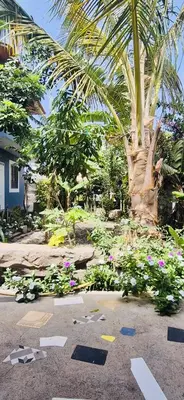 a garden with a palm tree and some flowers at Casa Chiquinha in Ribeira da Prata